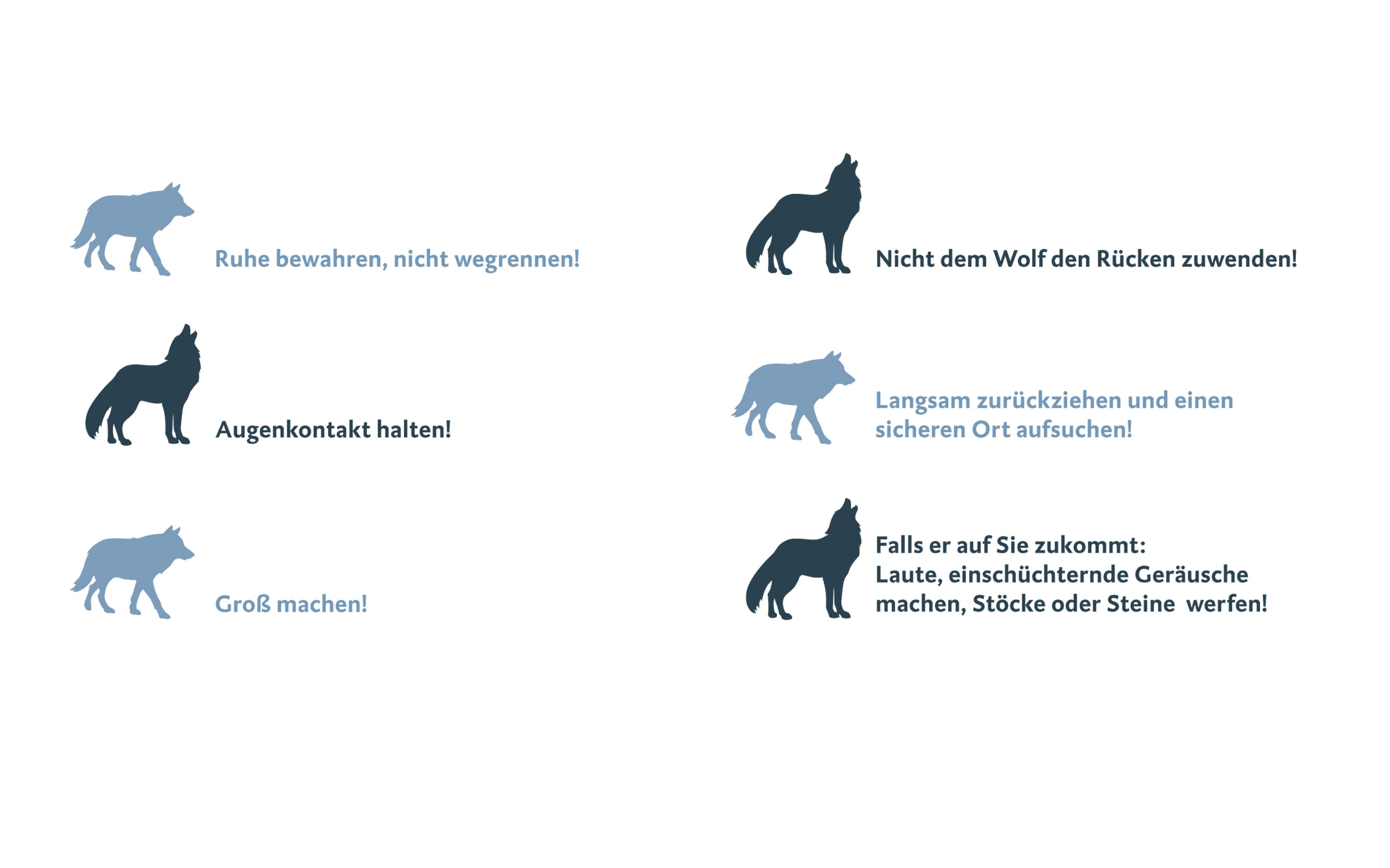 Rückkehr der Wölfe führt zu Konflikten Deutsche Wildtier Stiftung